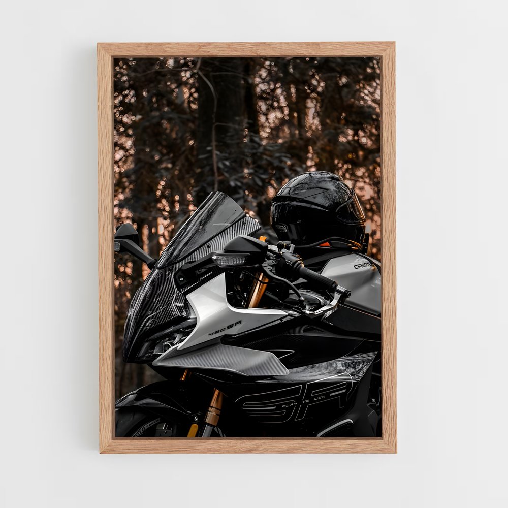 Poster Ride of Legends – affiche Sherco (vue 4)